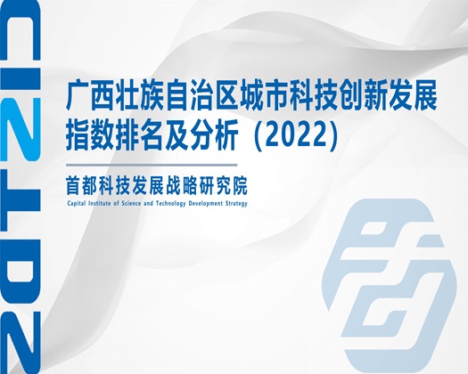 子宫里塞巨大的东西【成果发布】广西壮族自治区城市科技创新发展指数排名及分析（2022）